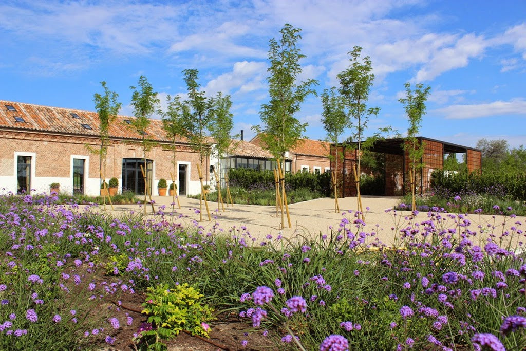 Finca-las-tenadas