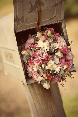 Imagen-17