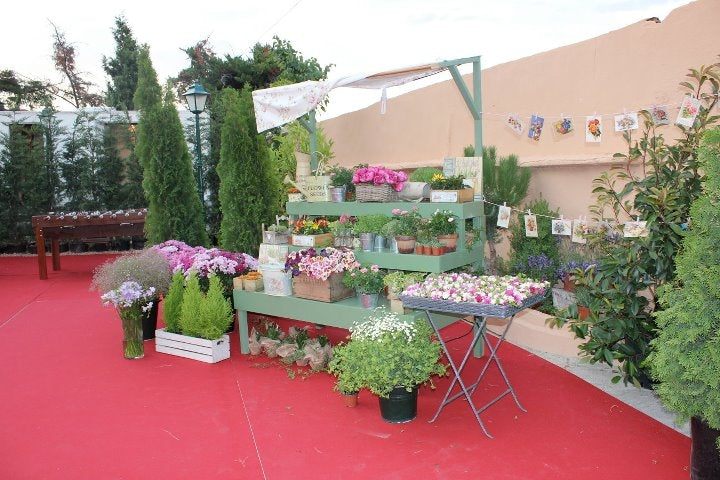 flores1