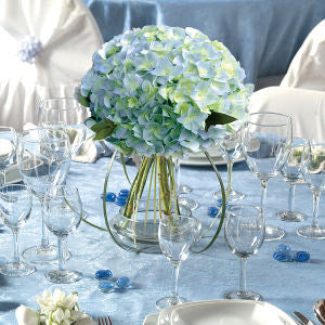 hydrangea-2