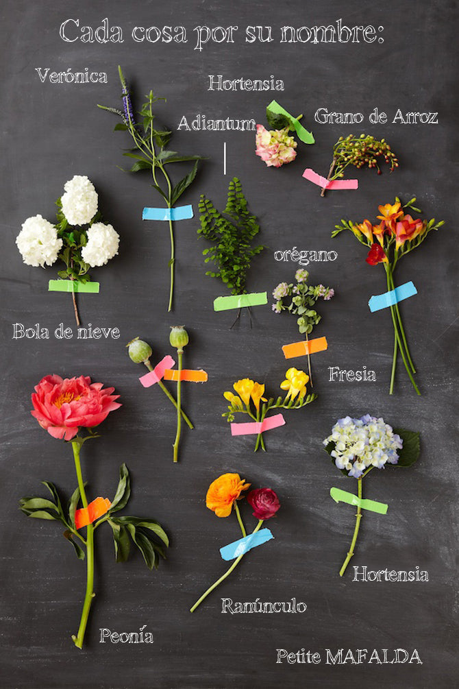 tipos-de-flores