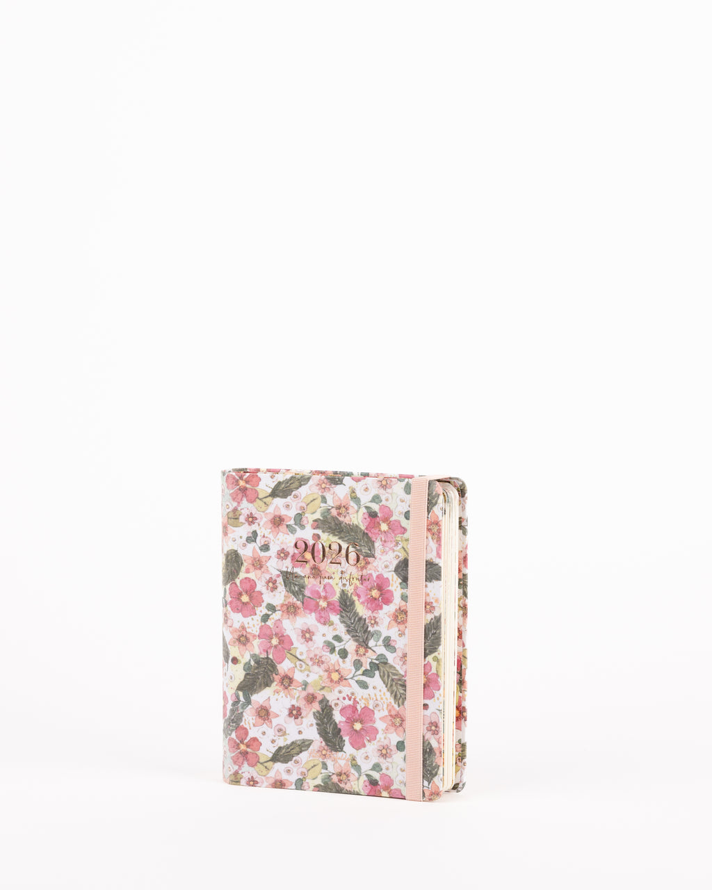 Agenda Día Vista 2026