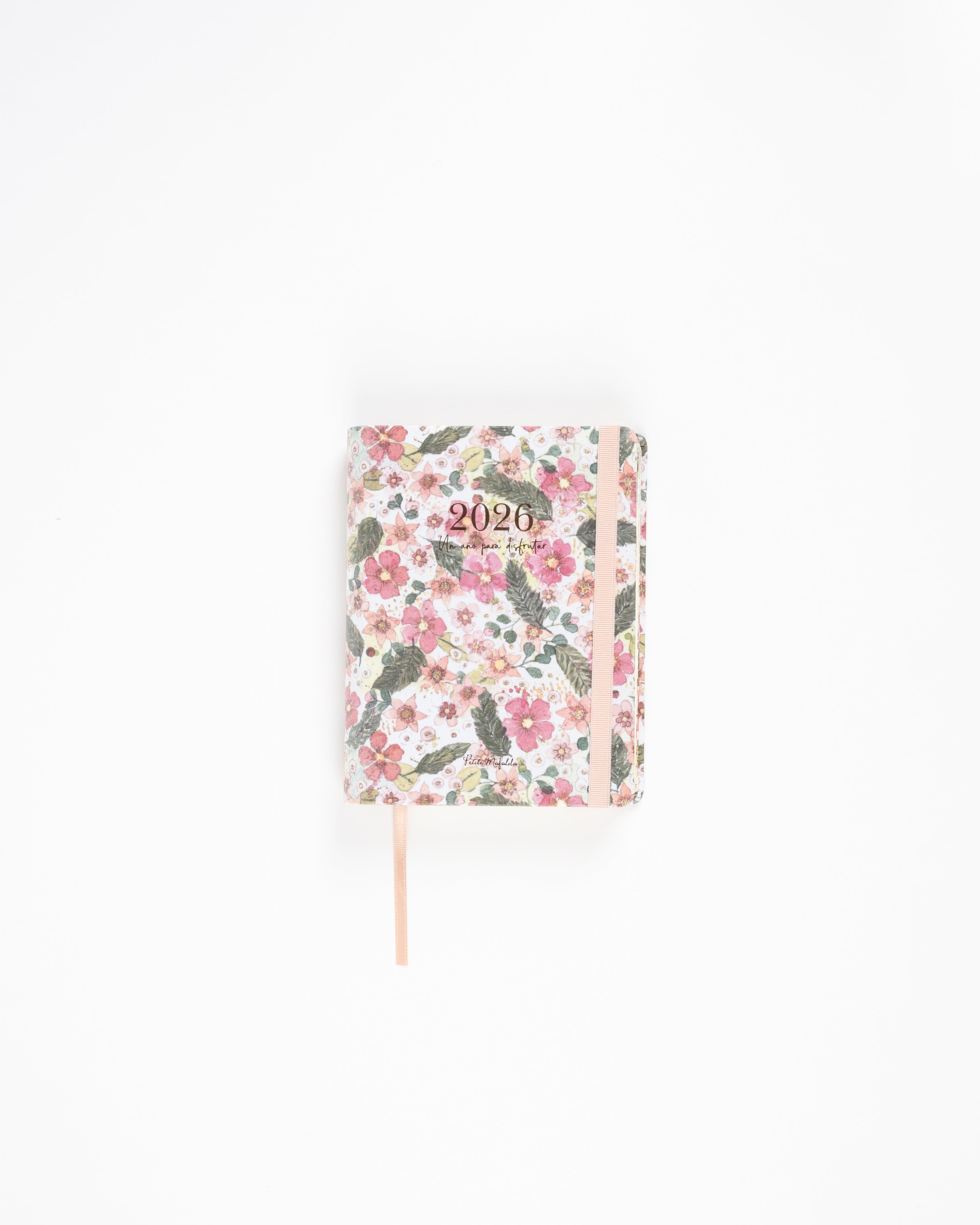 Agenda Día Vista 2026