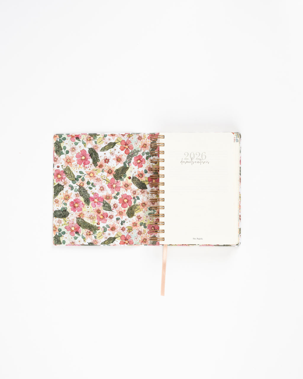 Agenda Día Vista 2026