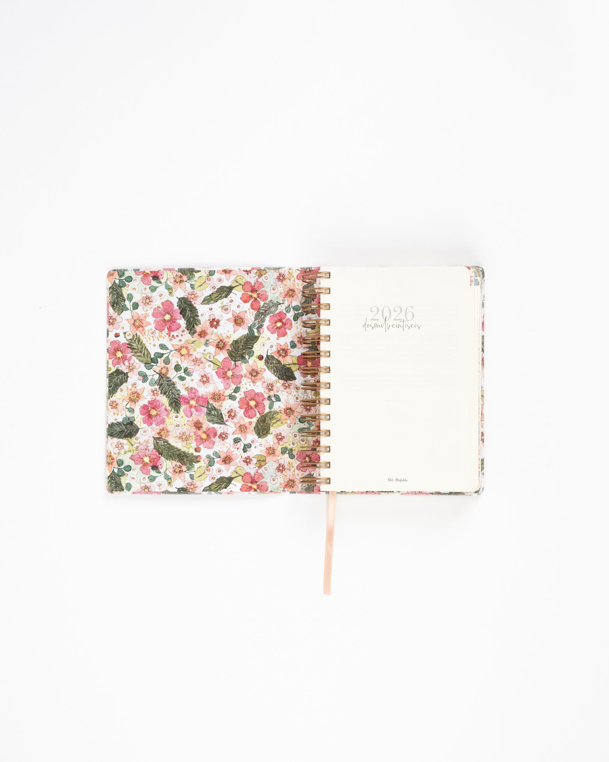 Agenda Día Vista 2026