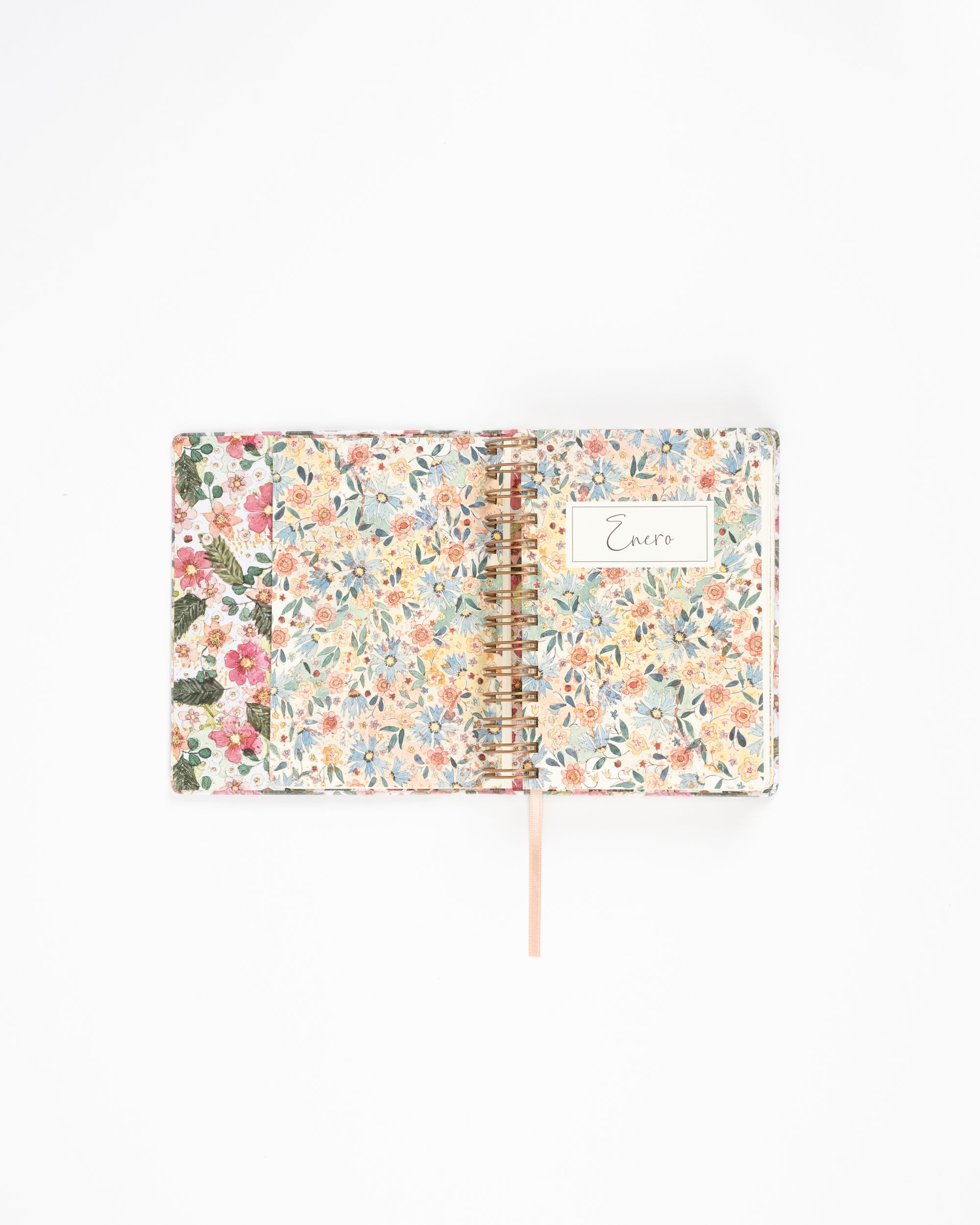 Agenda Día Vista 2026