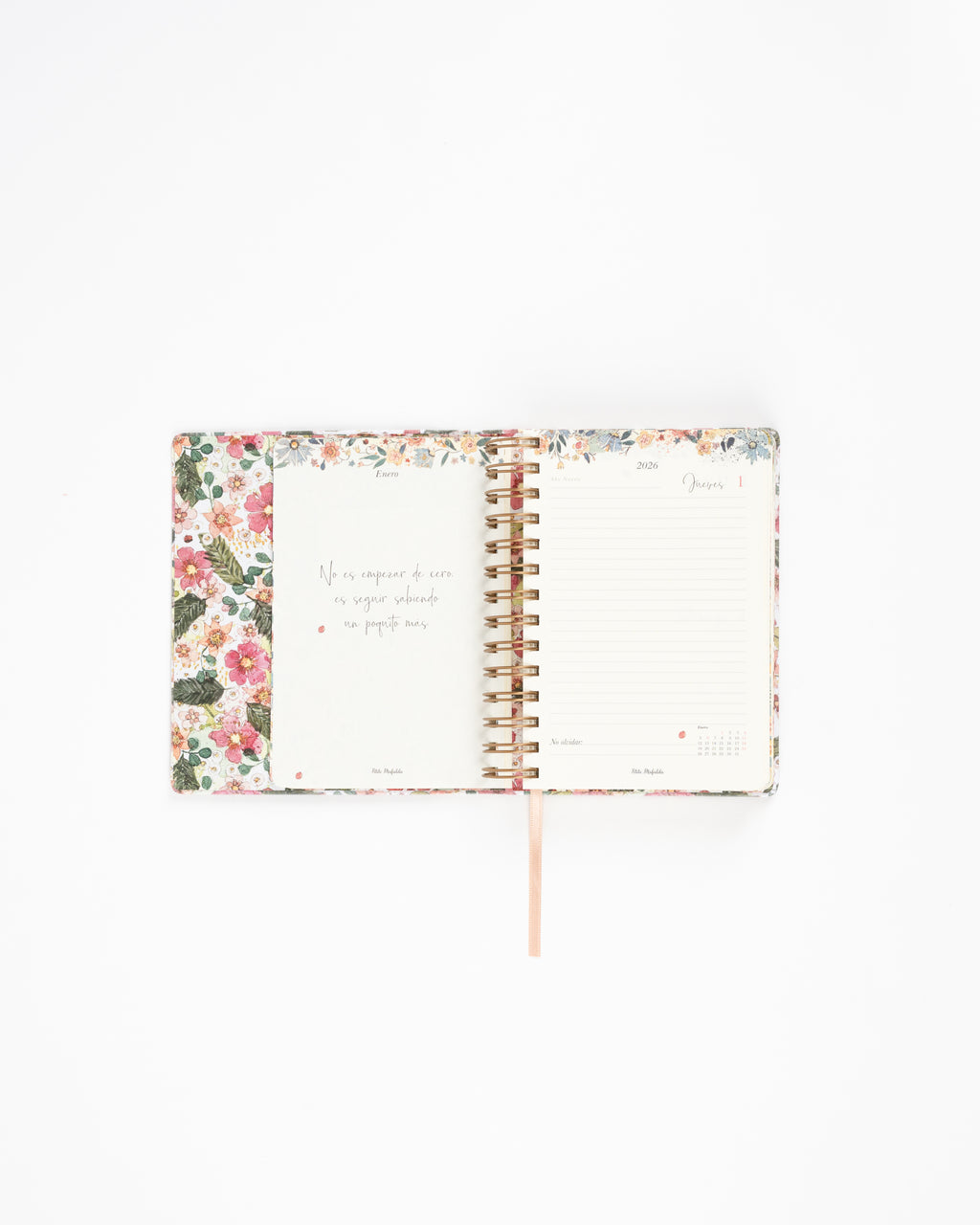 Agenda Día Vista 2026