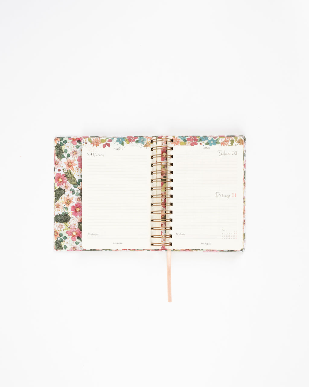 Agenda Día Vista 2026