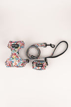 Pack arnés + correa + bolsa