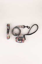 Pack collar + correa + bolsa