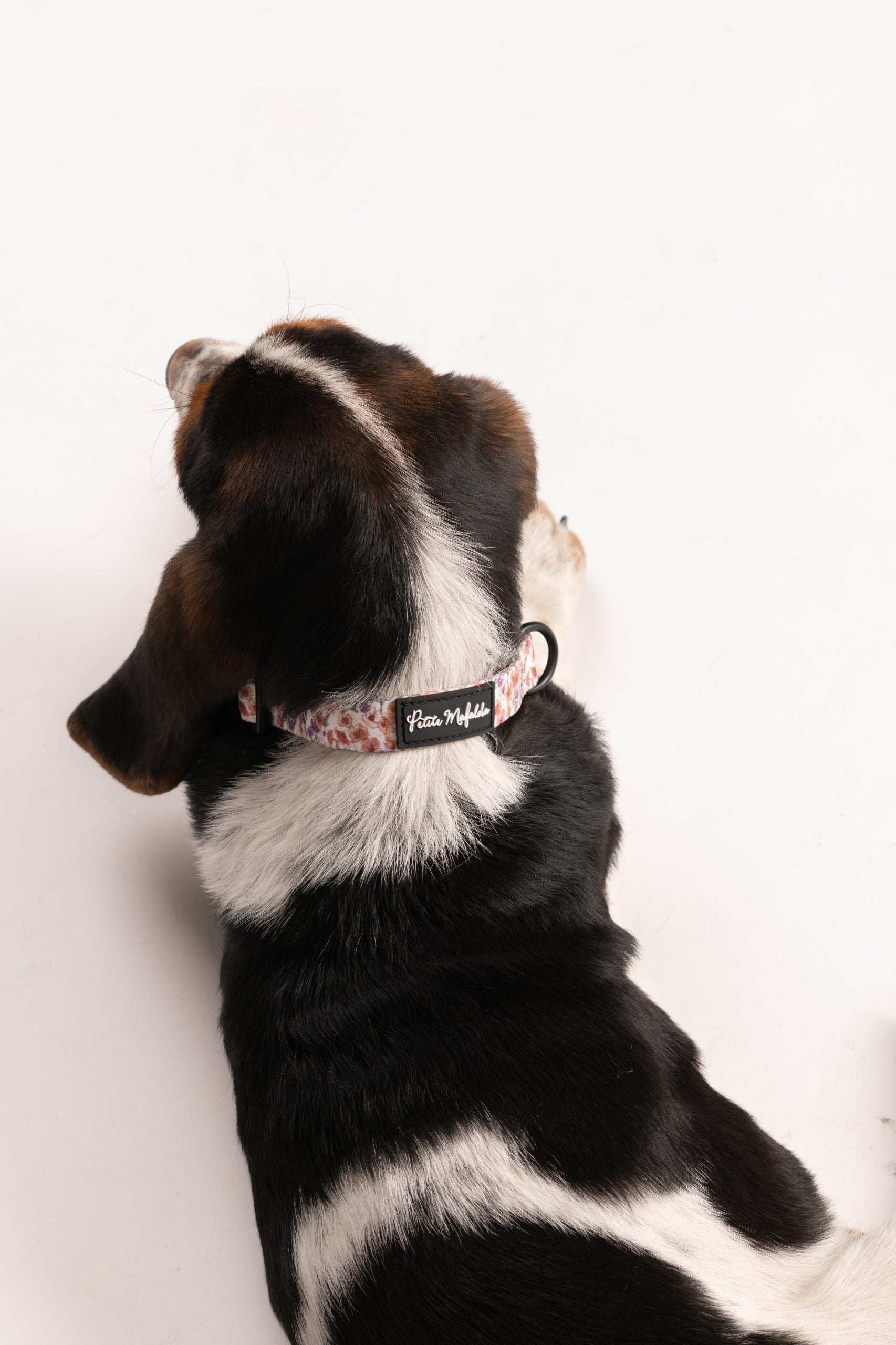Collar perro flores
