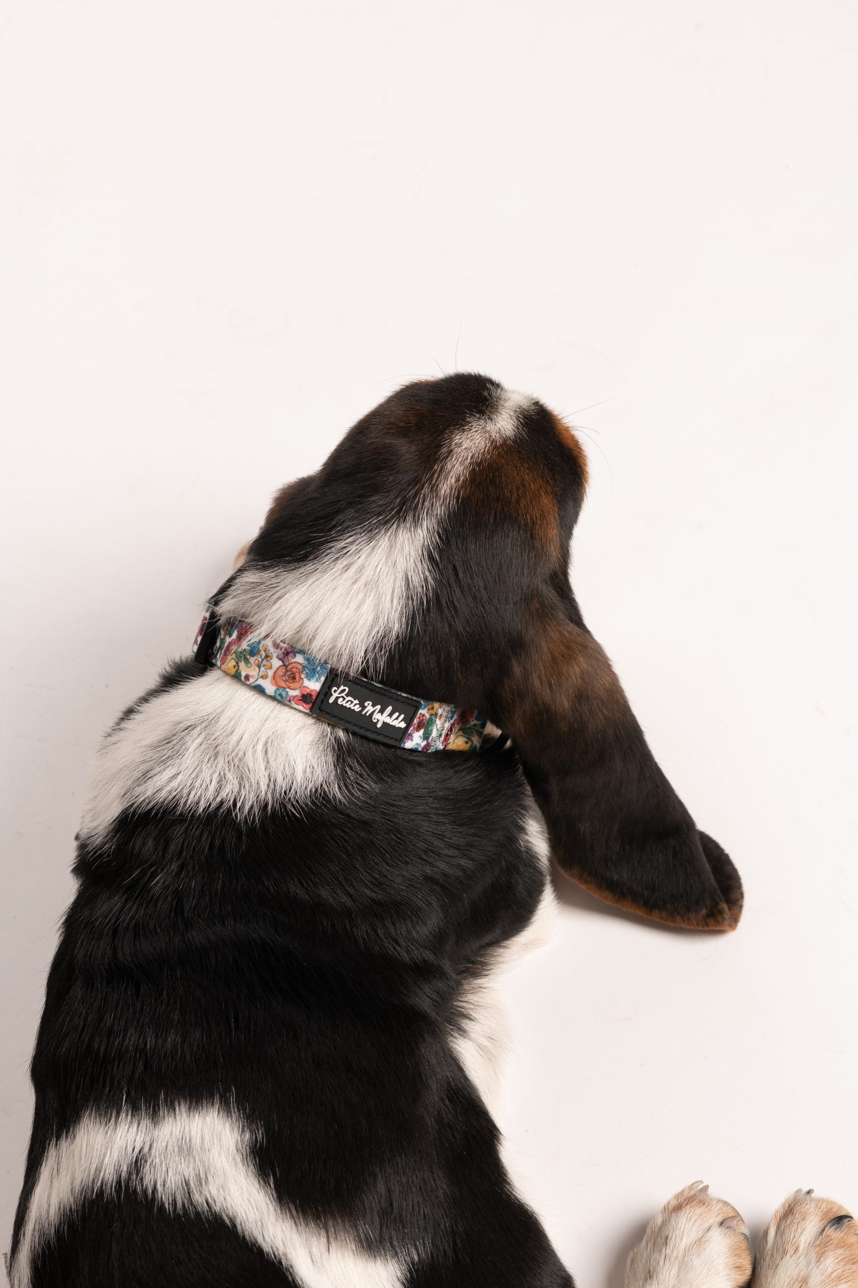 Collar perro flores