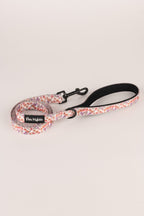 Pack arnés + correa + bolsa