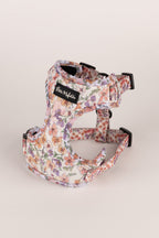 Arnés ajustable perro