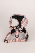 Arnés ajustable perro