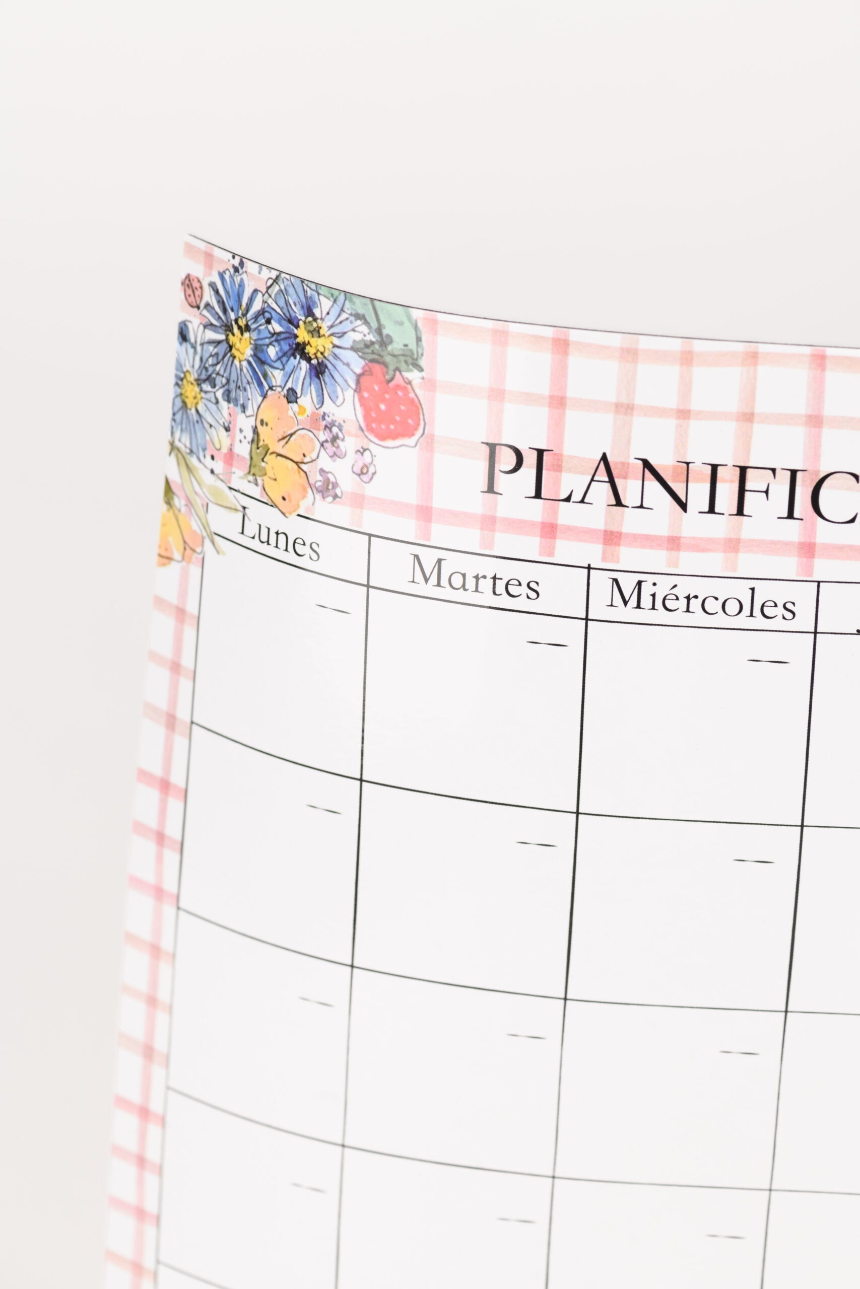 Planificador mensual nevera